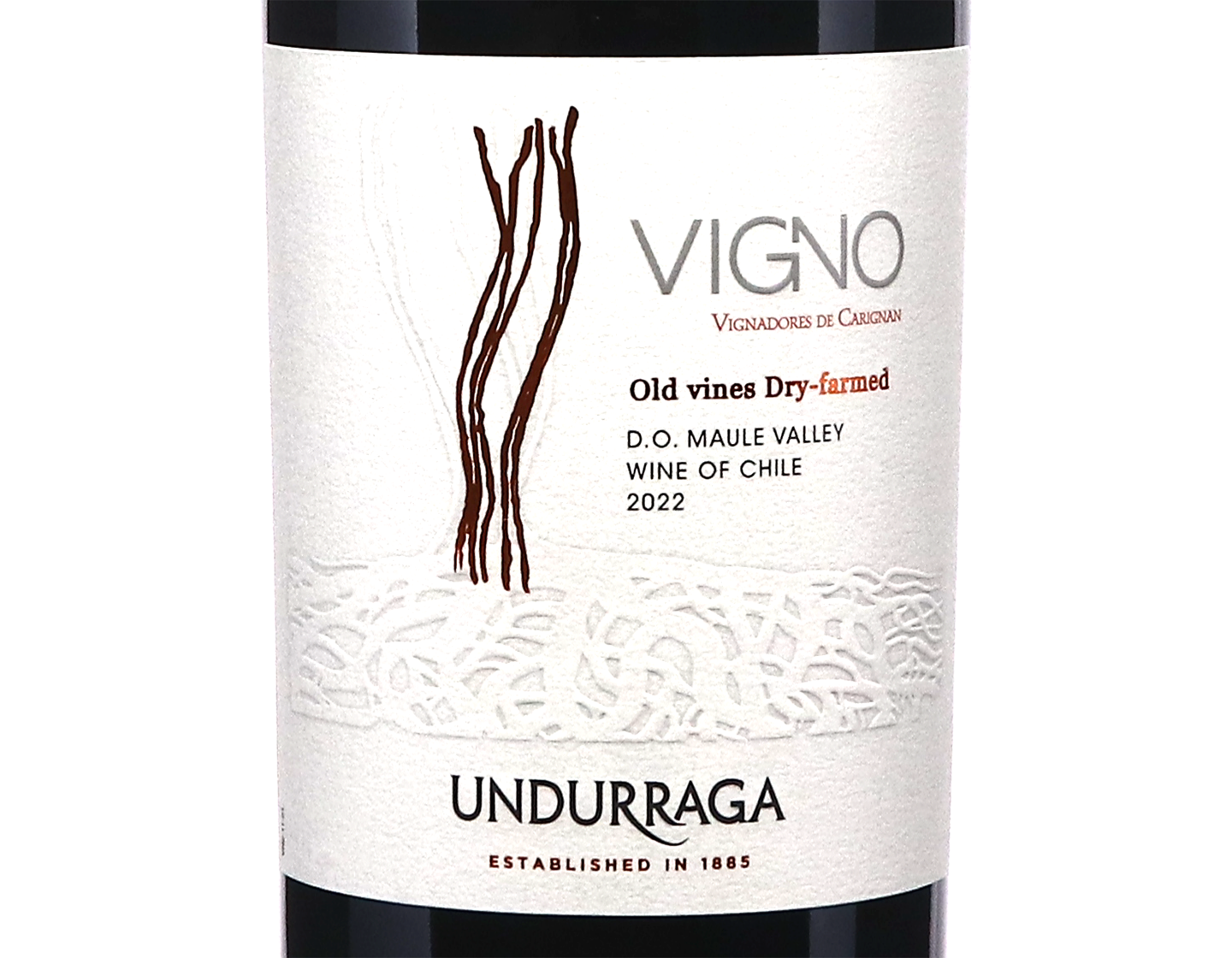 Undurraga Vigno DO Maule Carignan 2022