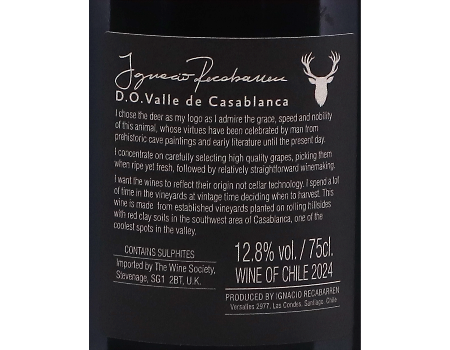 Ignacio Recabarren Casablanca Pinot Noir 2024