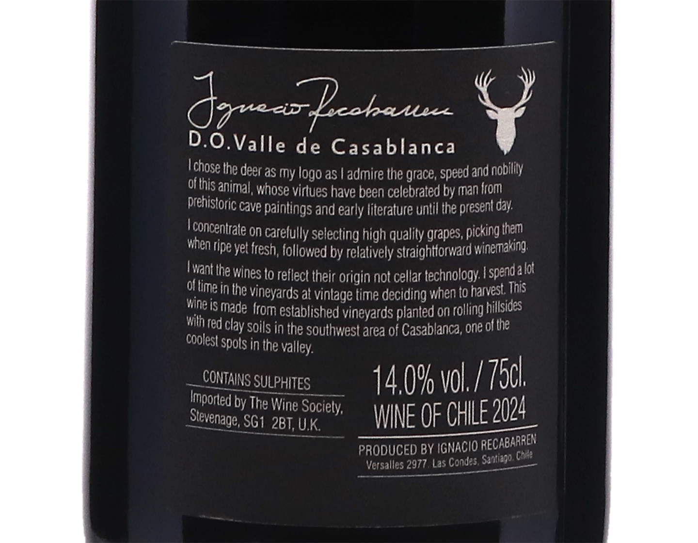Ignacio Recabarren Casablanca Merlot 2024