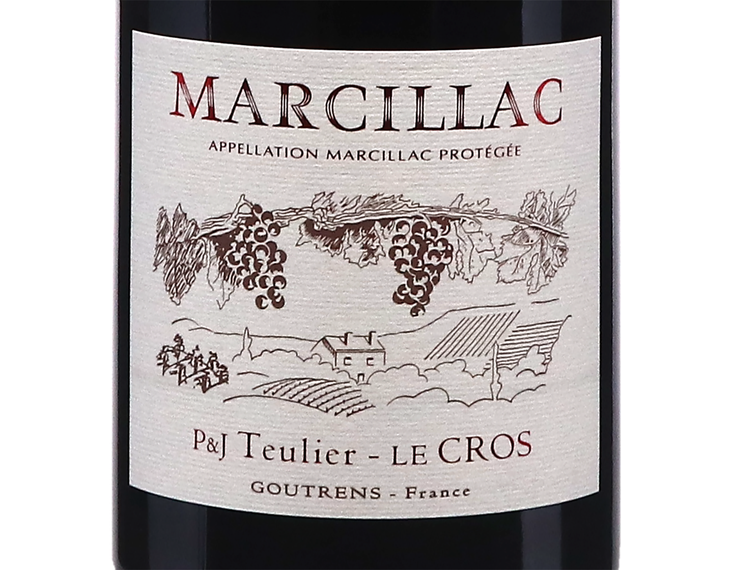 Marcillac Lo Sang del Pais Domaine du Cros 2024