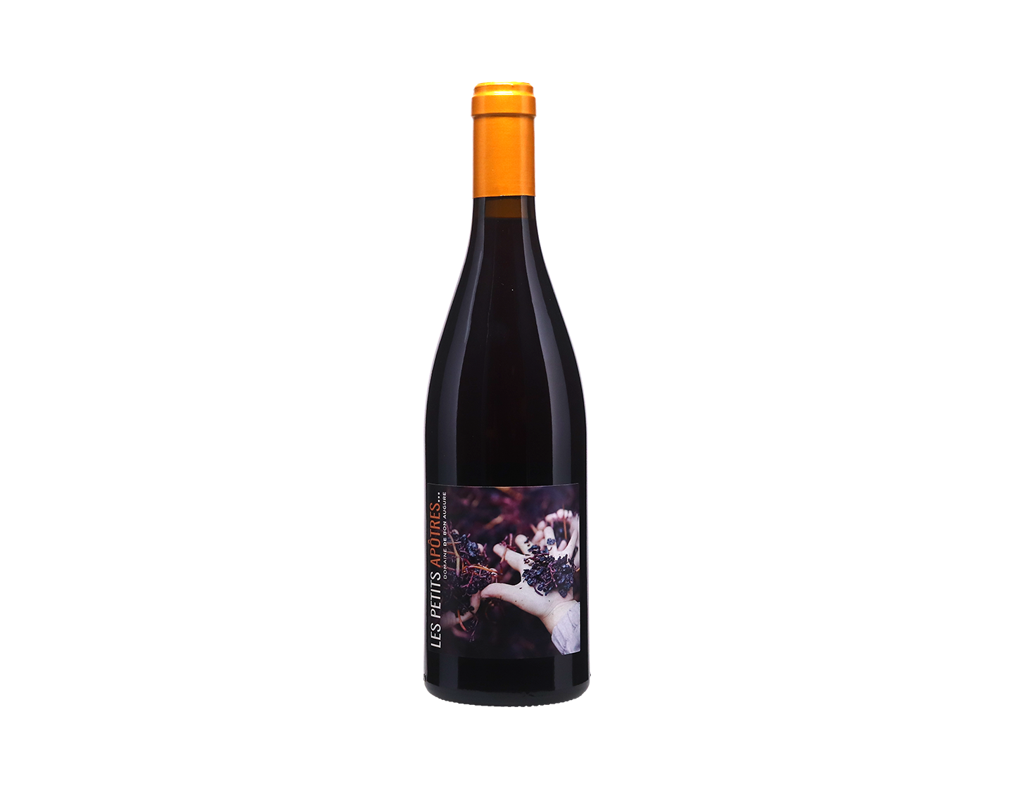 Domaine de Bon Augure Les Petits Apôtres Pinot Noir, IGP Haute Valle de l’Orb 2025