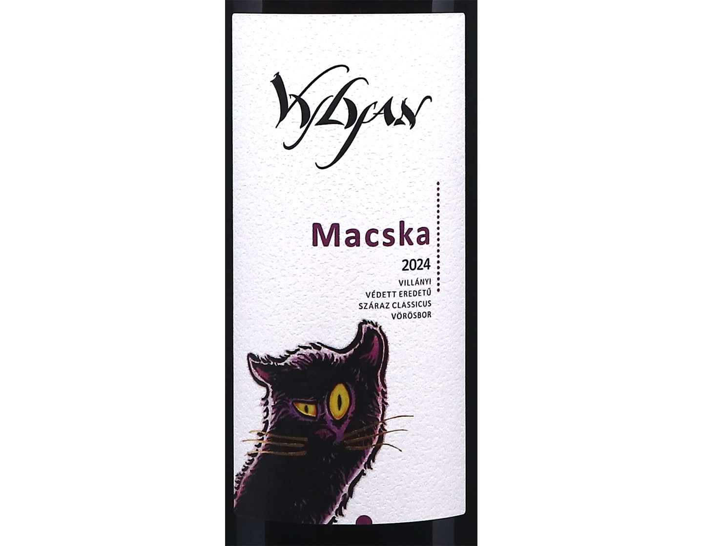Macska Portugieser 2024 Vylyan