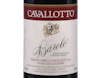 Barolo Riserva Bricco Boschis Vigna San Giuseppe Cavallotto 2016 view 2