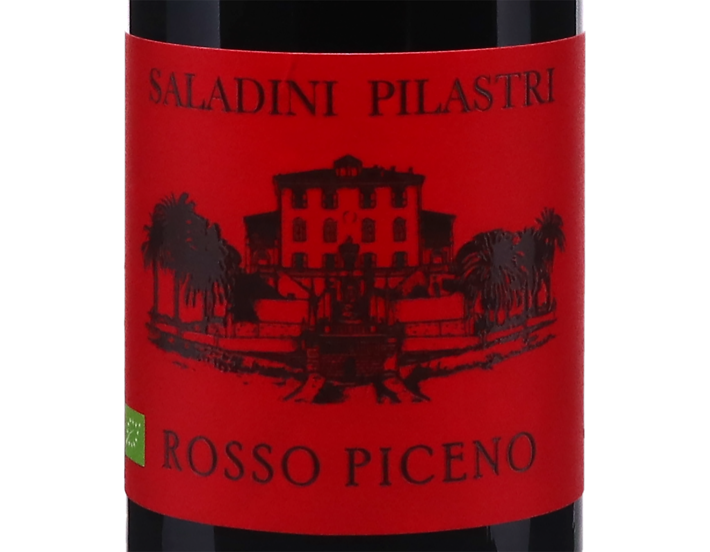 Rosso Piceno Saladini Pilastri 2024 ORGANIC