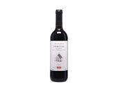 The Society's Primitivo 2024