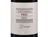I Cacciagalli Phos Aglianico Roccamonfina 2021 ORGANIC view 2