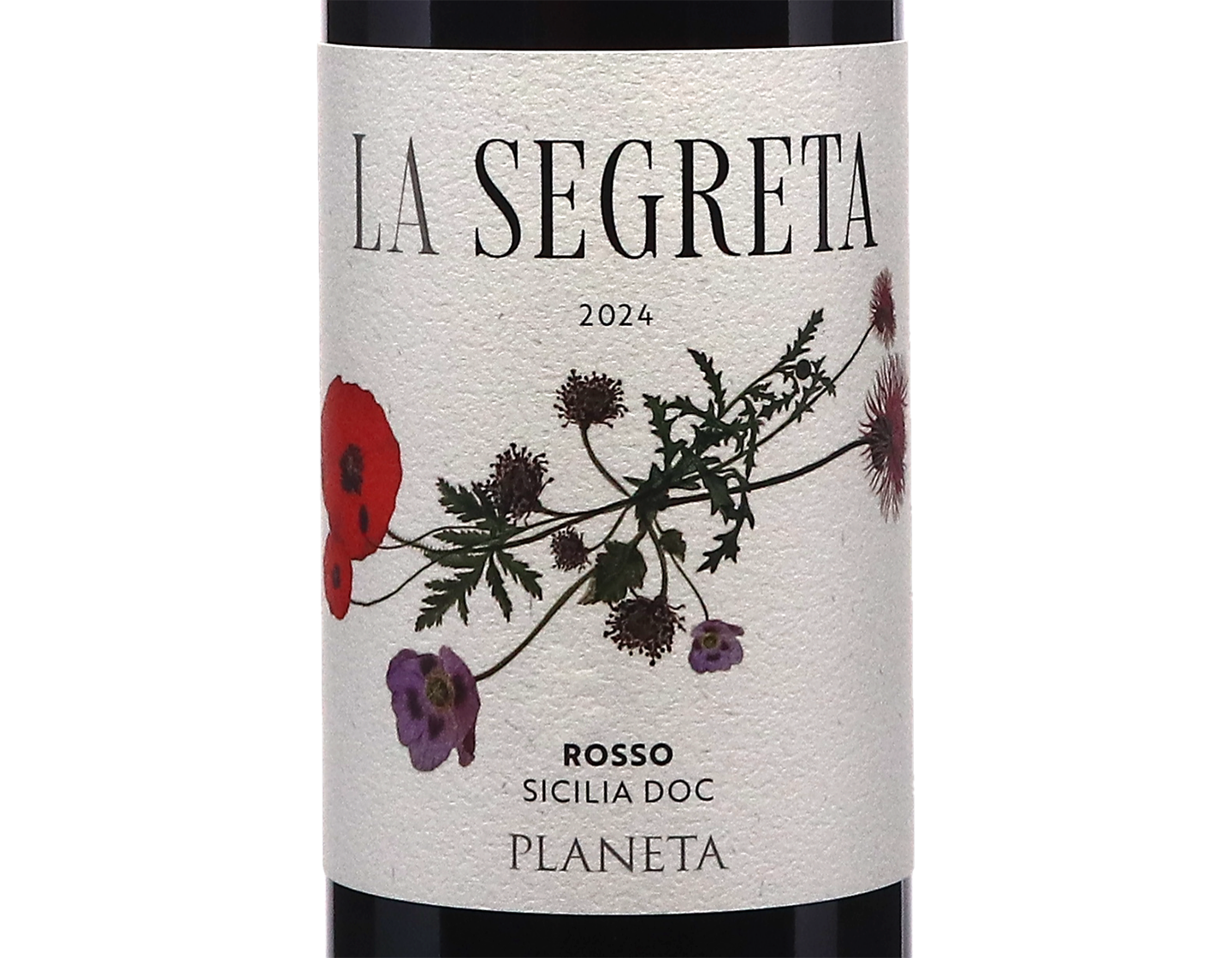 La Segreta Rosso, Planeta 2024