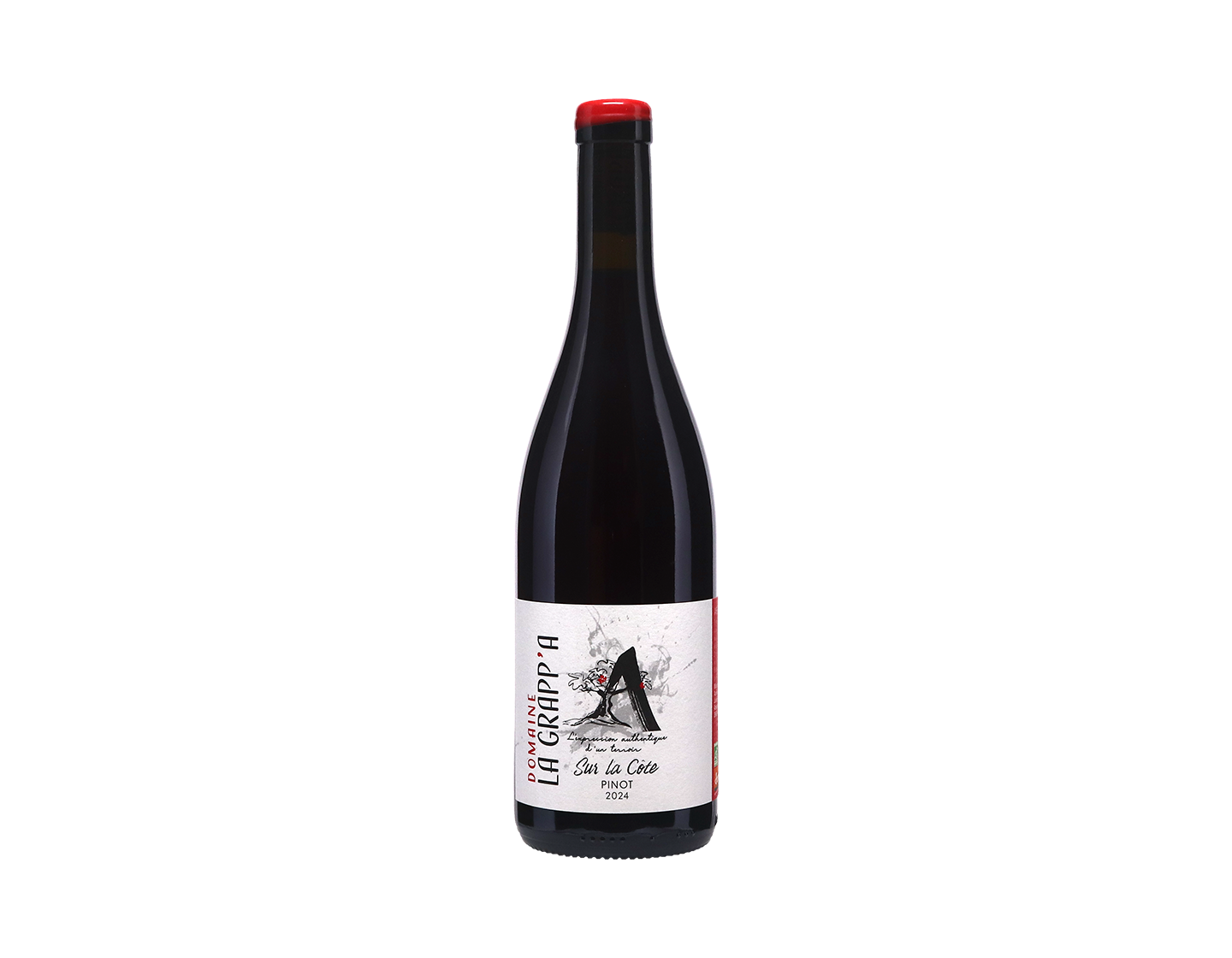 Arbois Pinot Noir Sur la Cote, Domaine la Grapp'A 2024