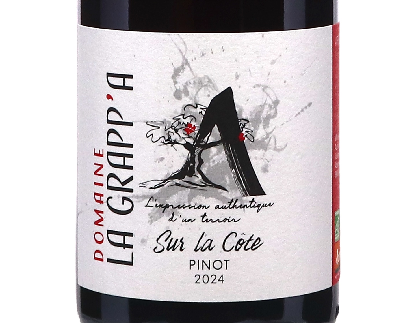 Arbois Pinot Noir Sur la Cote Domaine la Grapp'A 2024