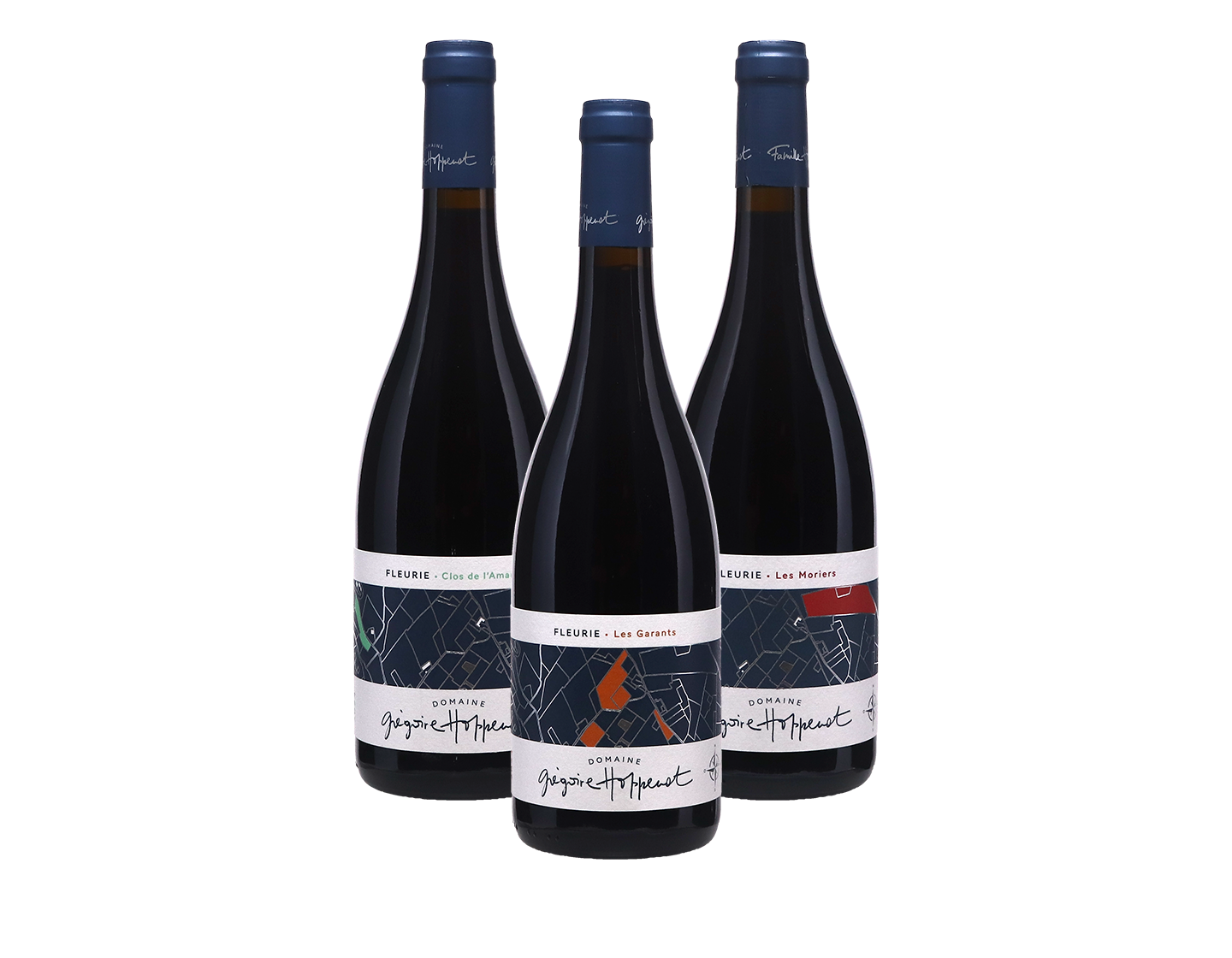 Hoppenot Mixed Case