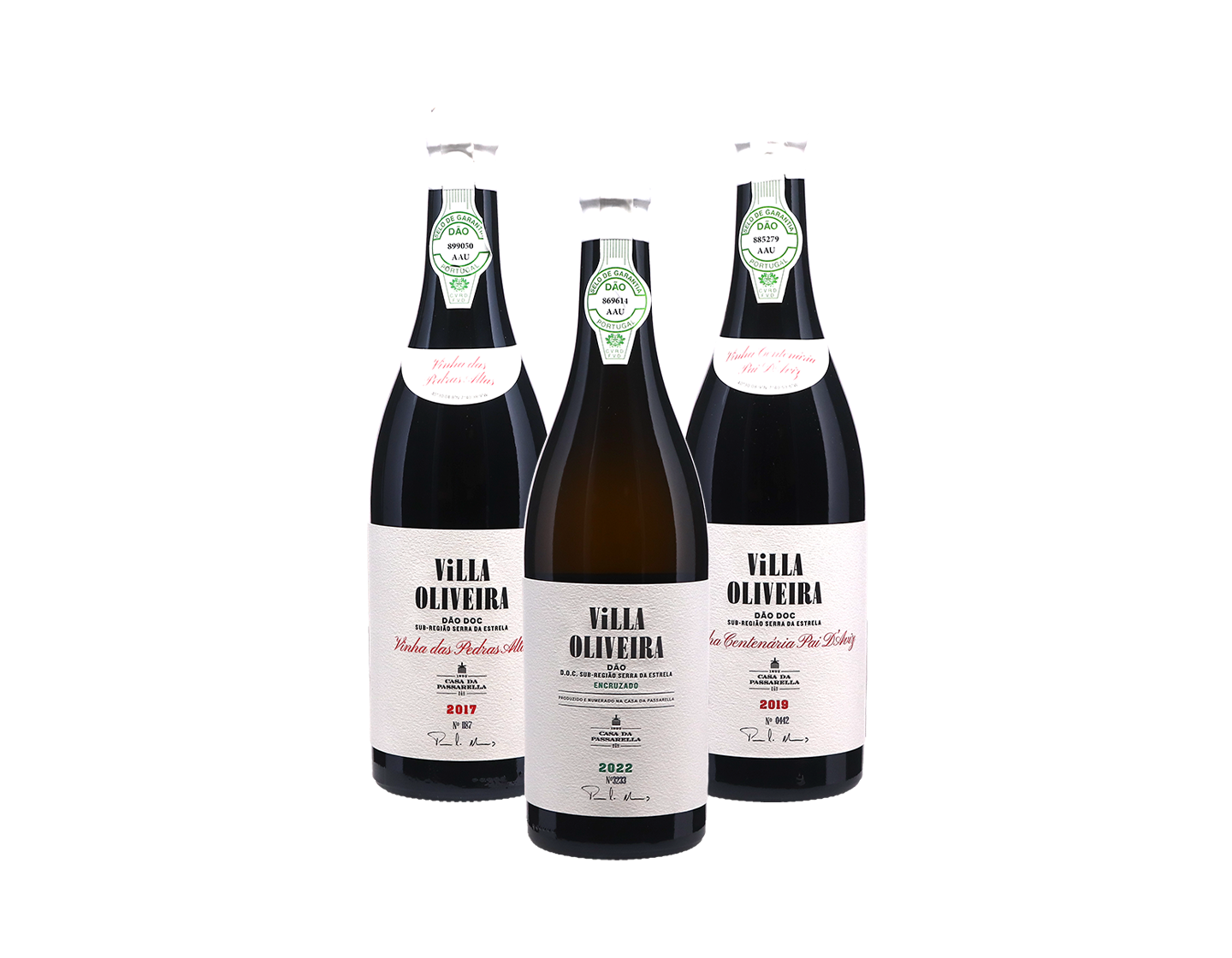 Villa Oliveira Trio