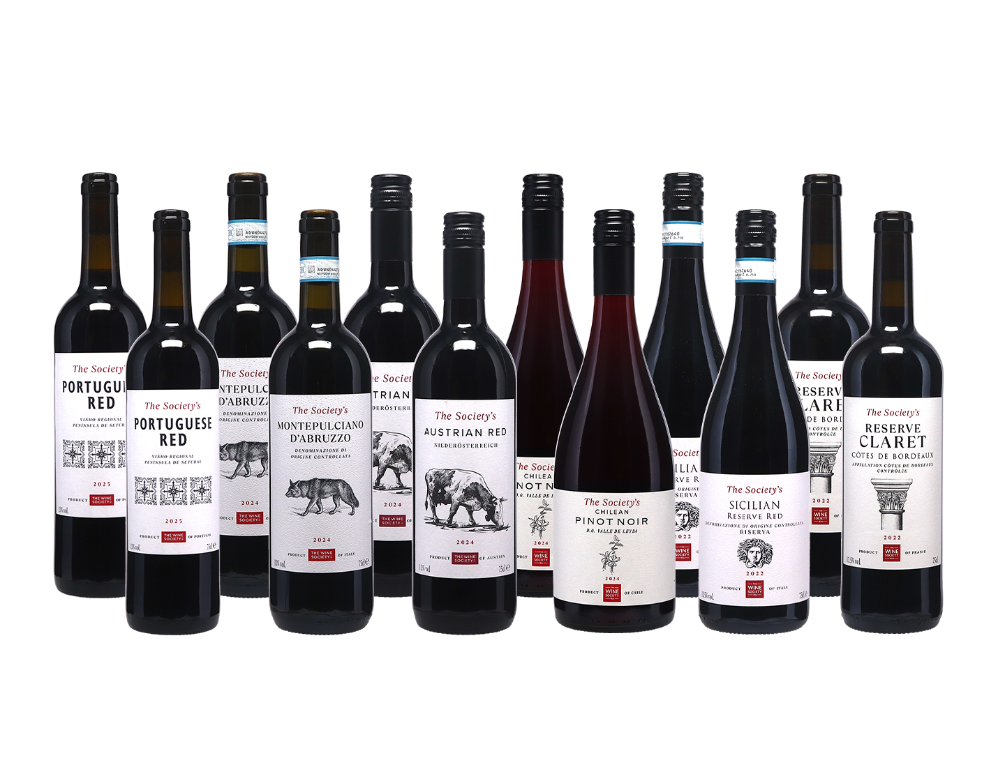Autumn Wine Champions Reds