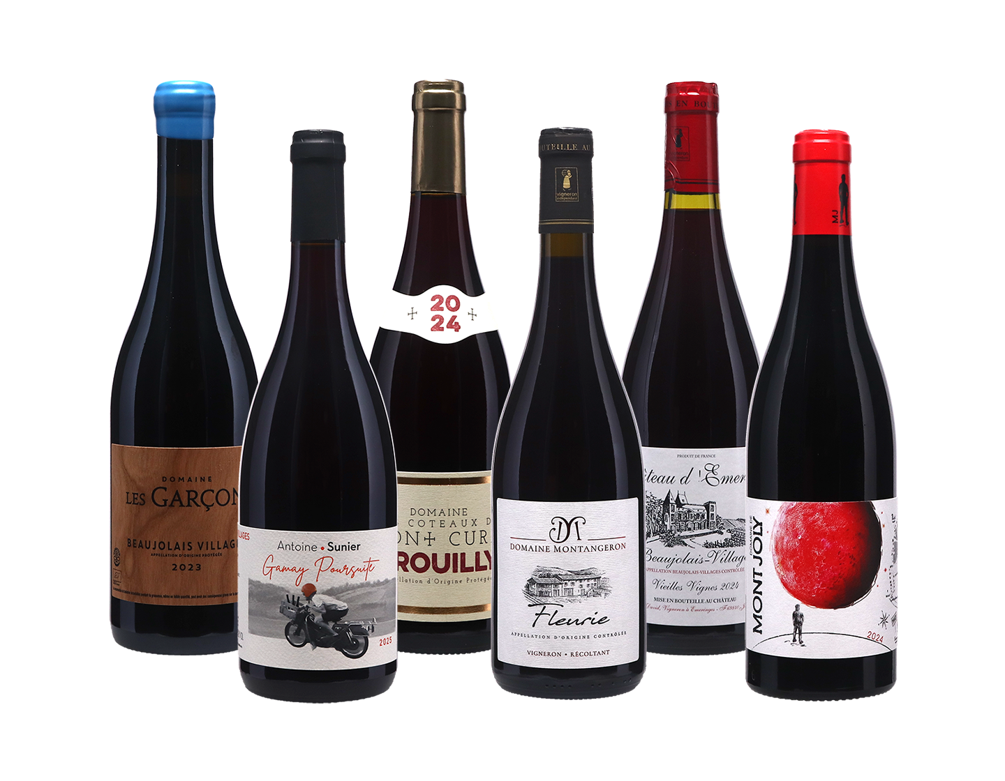 Beaujolais Spotlight Case