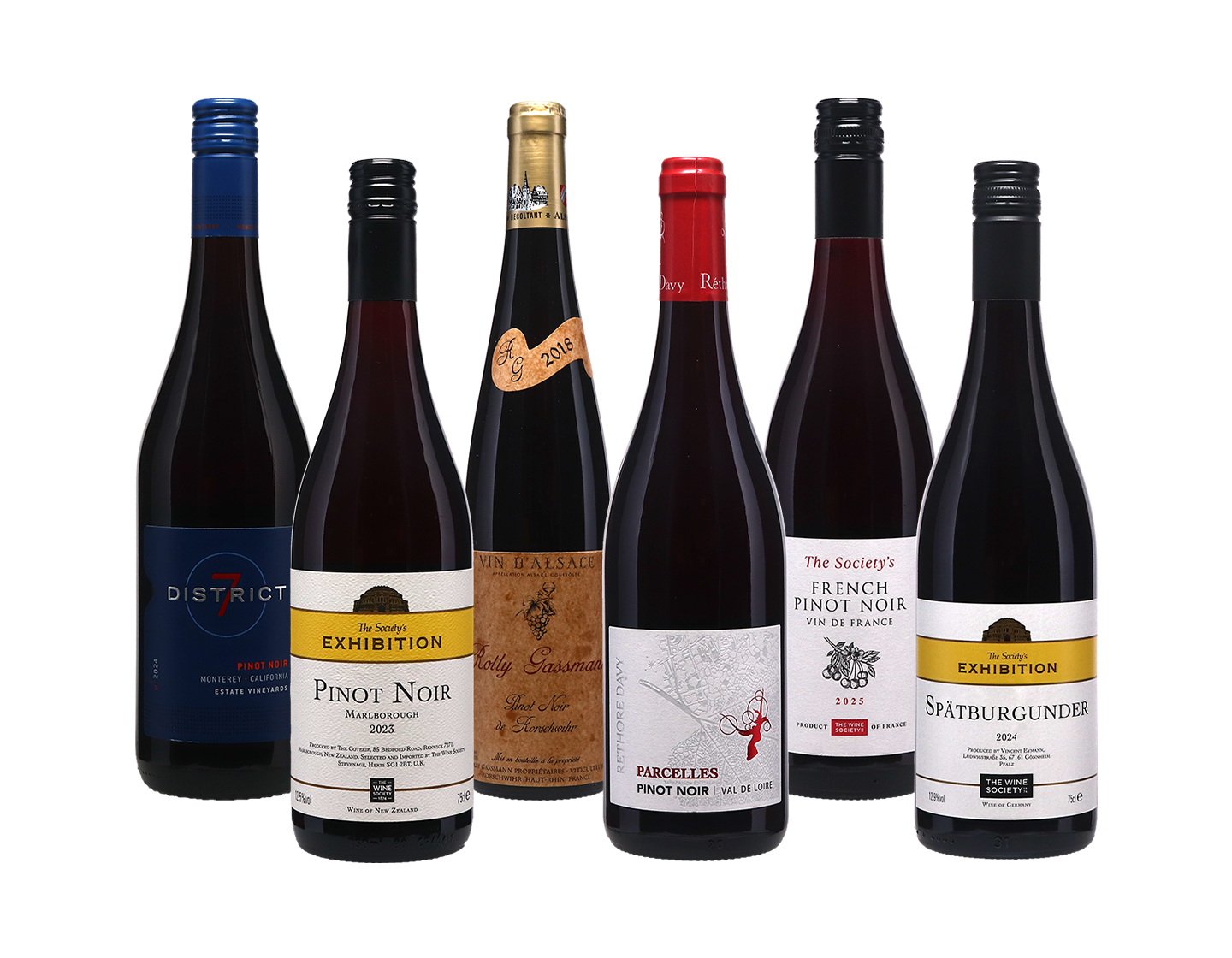 Pinot Noir Case