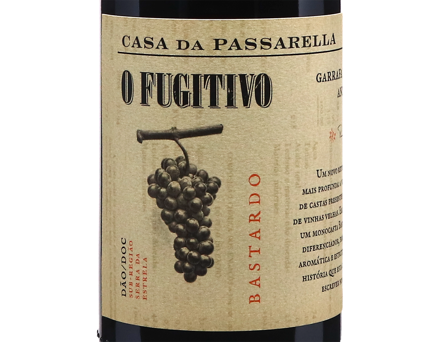 Casa da Passarella O Fugitivo Bastardo Dao 2023