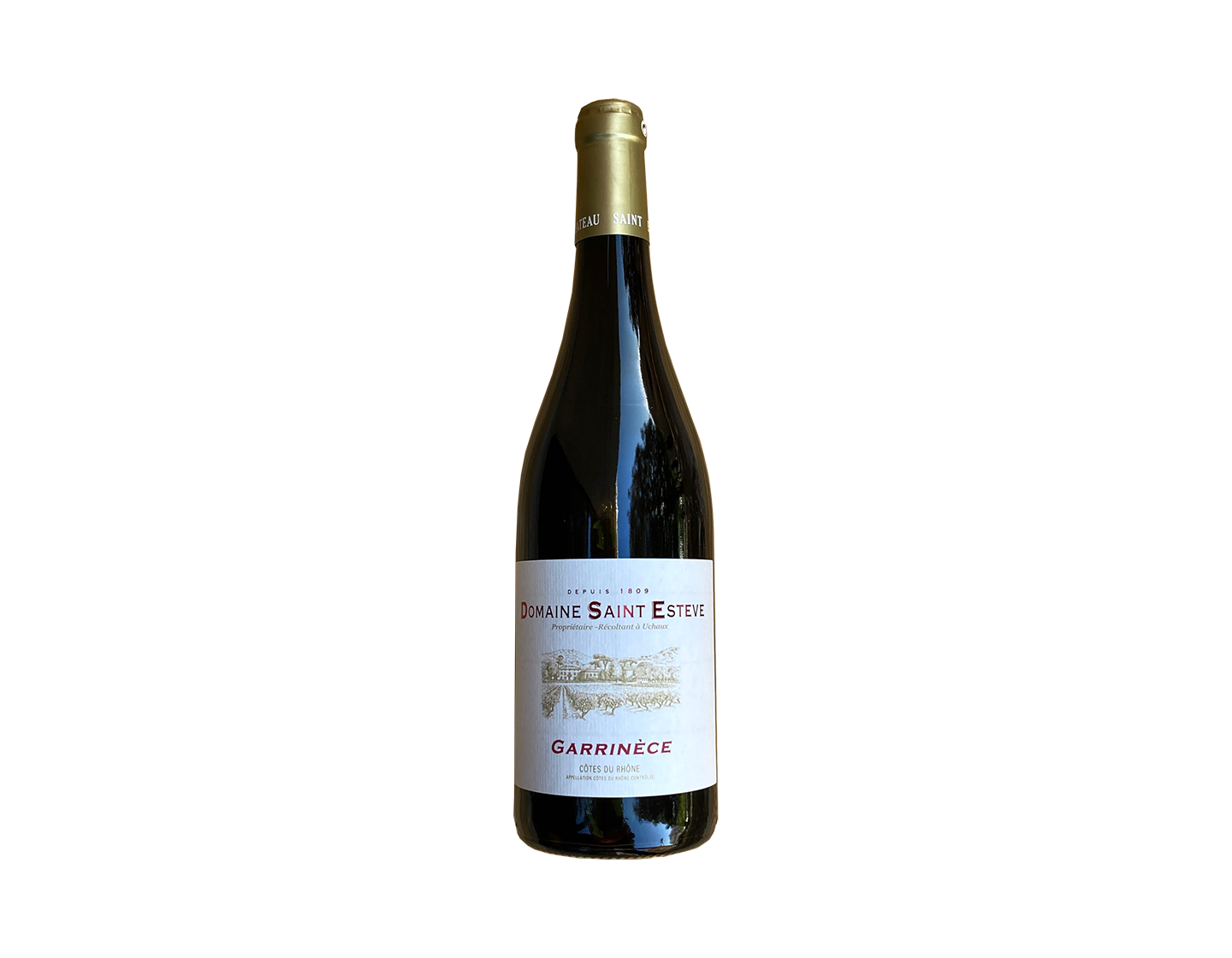 Cotes du Rhone 'Garrinece' 2020 Saint Esteve