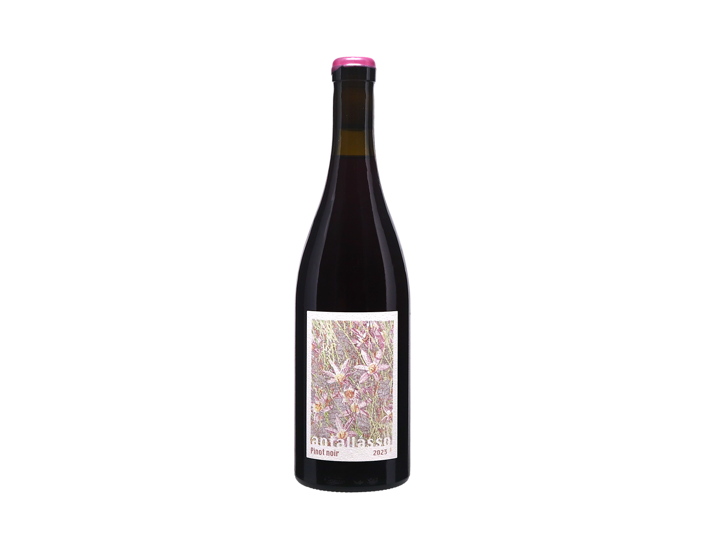 Pinot Noir Ceres Plateau, Antallásso by Hanneke Kruger 2023