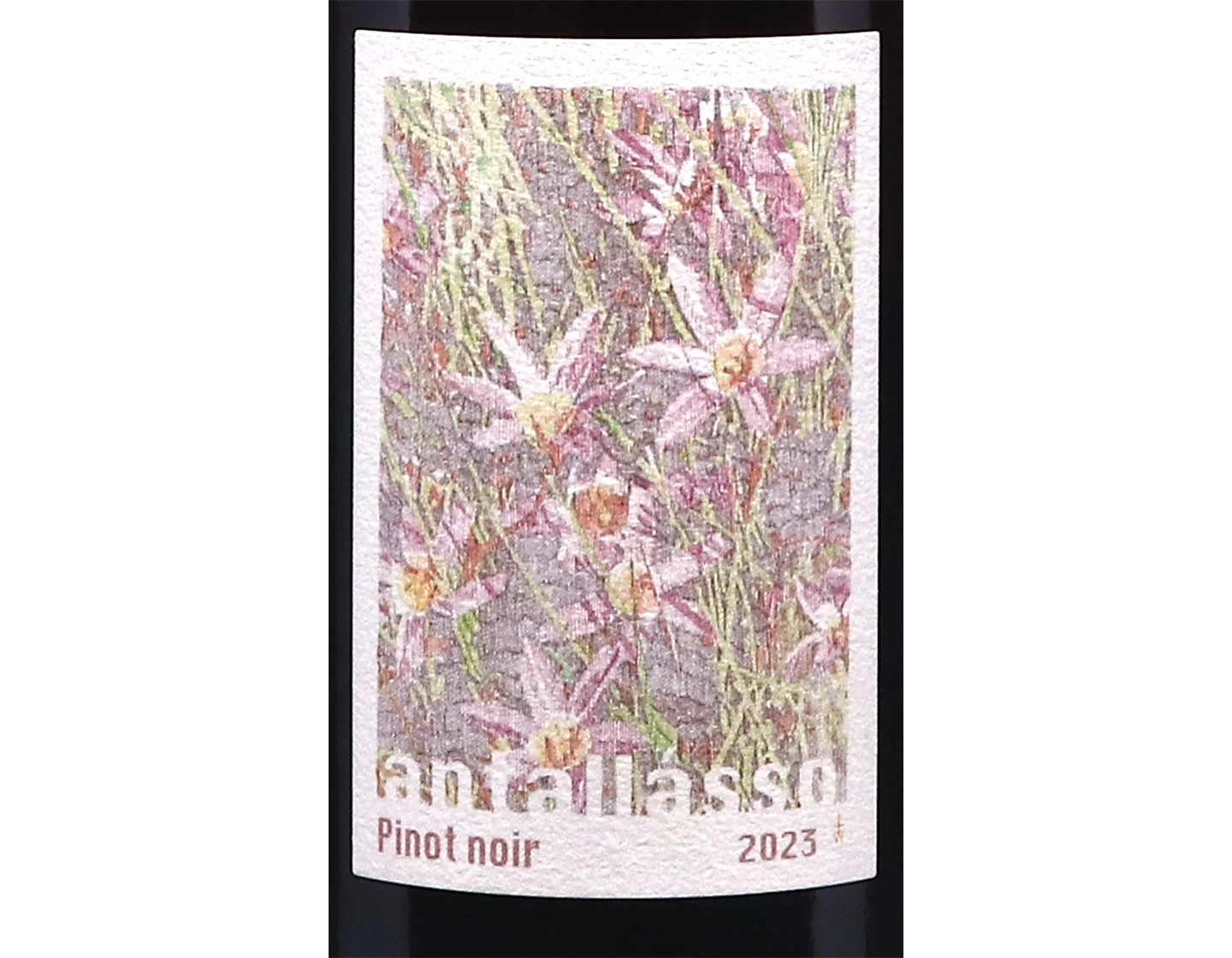 Pinot Noir Ceres Plateau Antallasso by Hanneke Kruger 2023