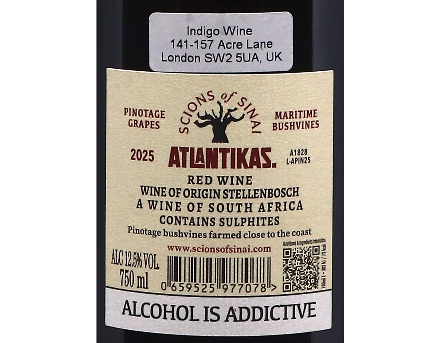 Scions of Sinai Atlantikas Pinotage Stellenbosch 2025