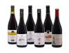 Beaujolais Case 6x1 view 1