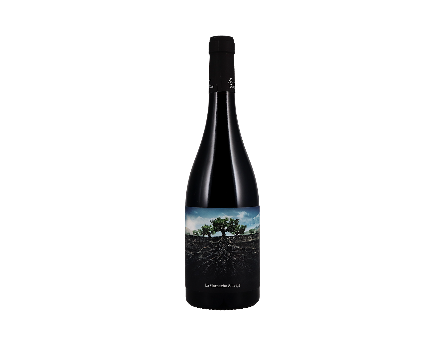 Salvaje del Moncayo Garnacha 2019