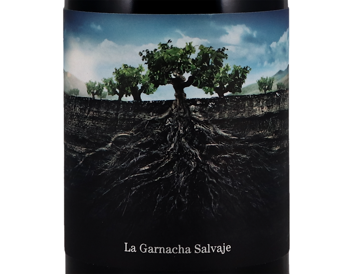 Salvaje del Moncayo Garnacha 2019