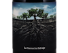 Salvaje del Moncayo Garnacha 2019 view 2