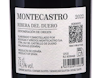 Montecastro Ribera del Duero 2022 view 3