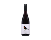 Viña Zorzal Garnacha, Navarra 2025