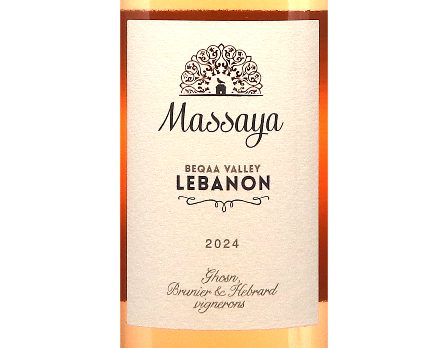Massaya Rose 2024