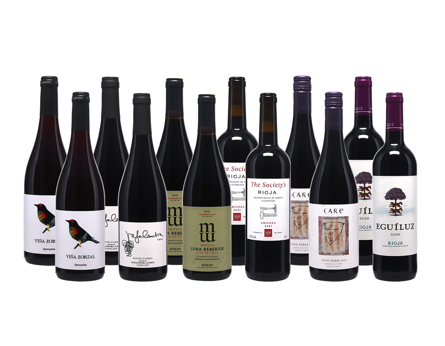 Anyday Spanish Reds Case