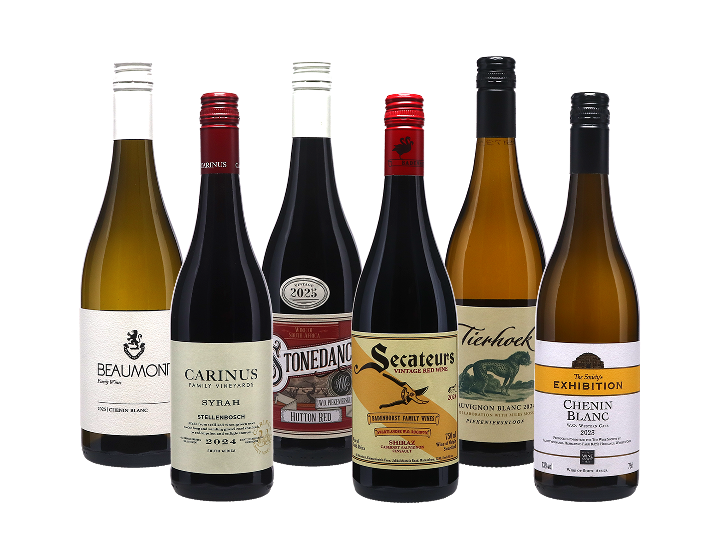 Wine Champions South Africa Case