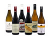 Wine Champions South African Case 6x1 view 1