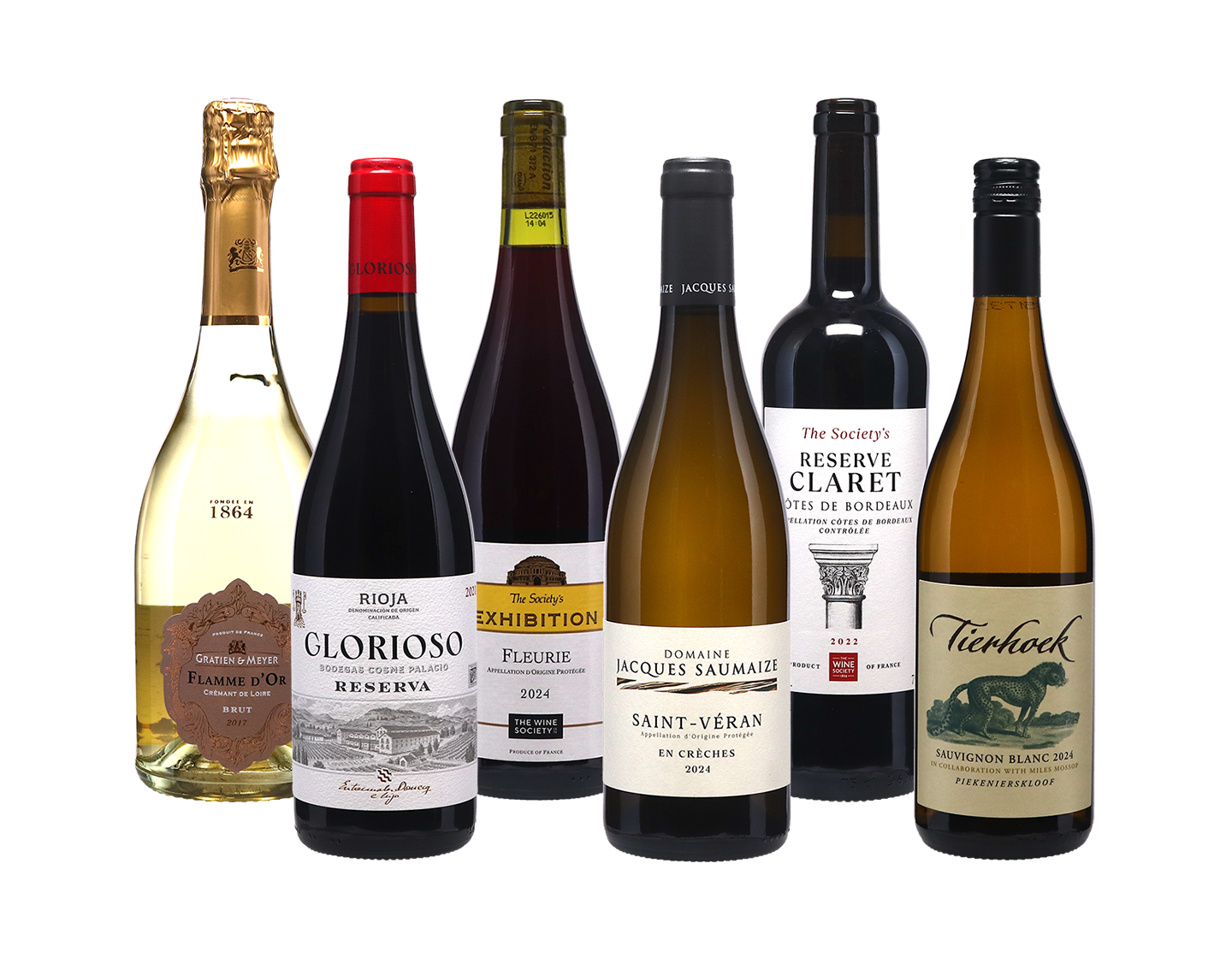 Wine Champions Dinner Party Case