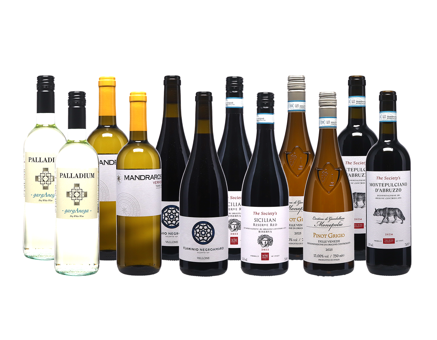 Wine Champions Italy Mixed Case