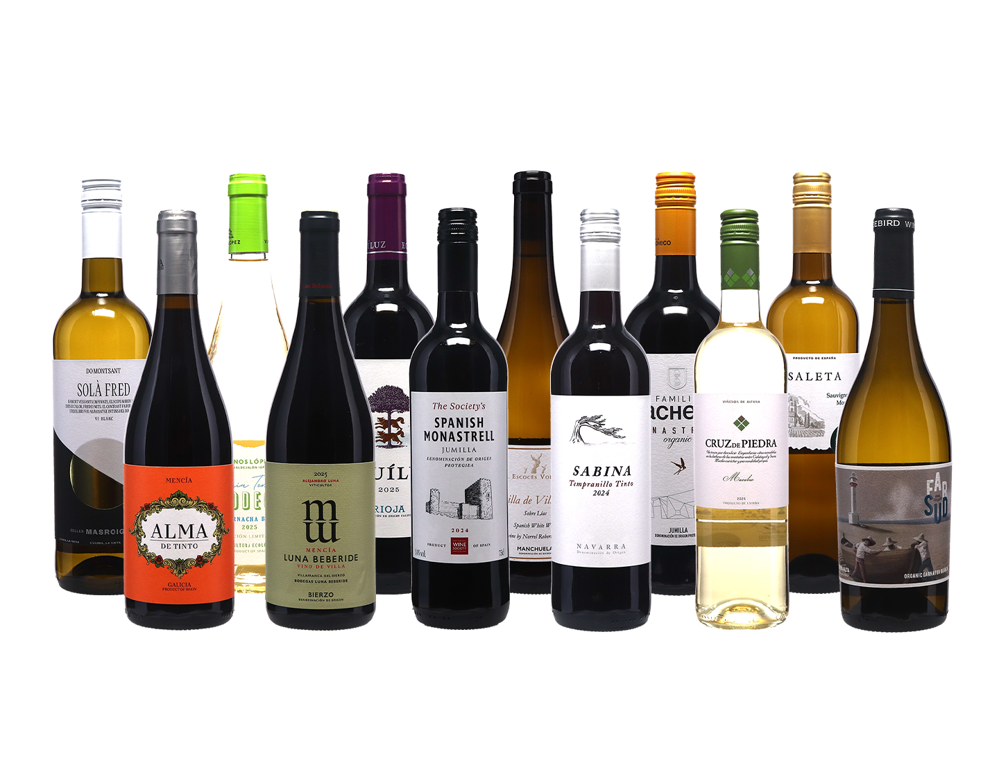 Anyday Tapas Dozen