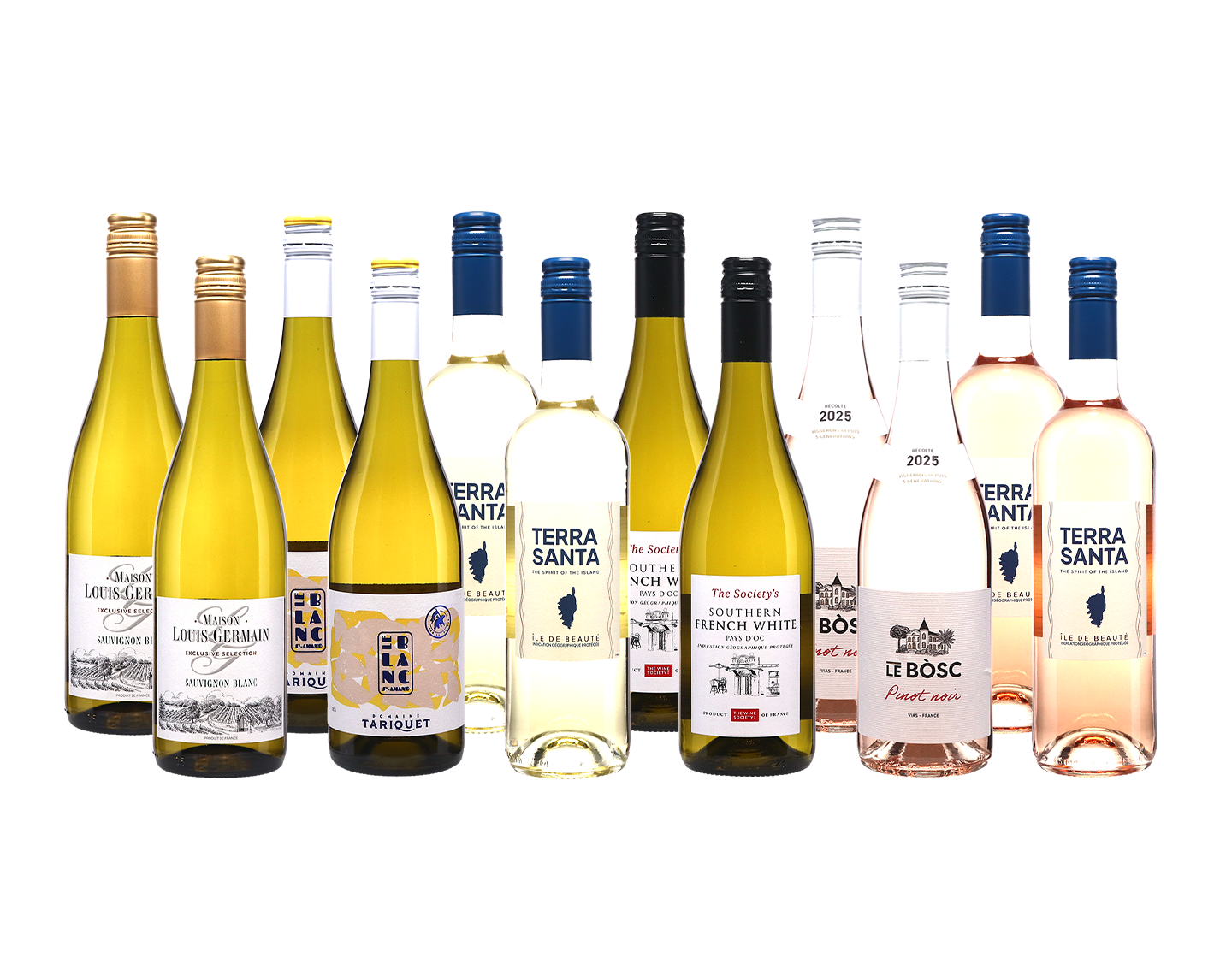 New Southern French Wines Case