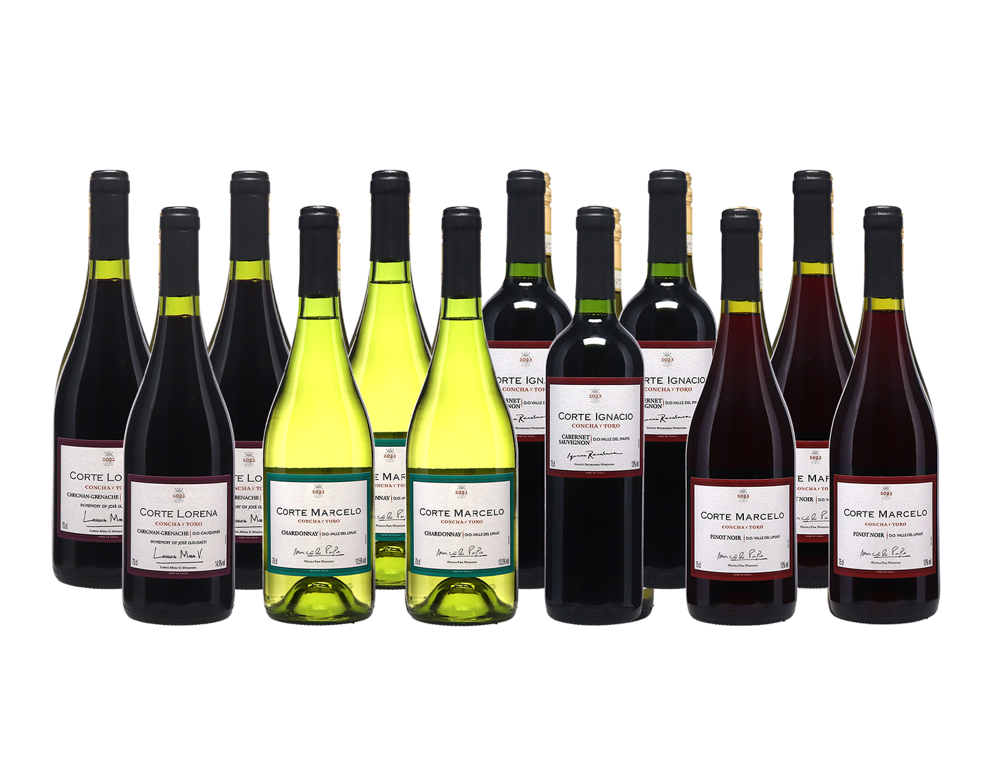 Concha Corte Mixed Case