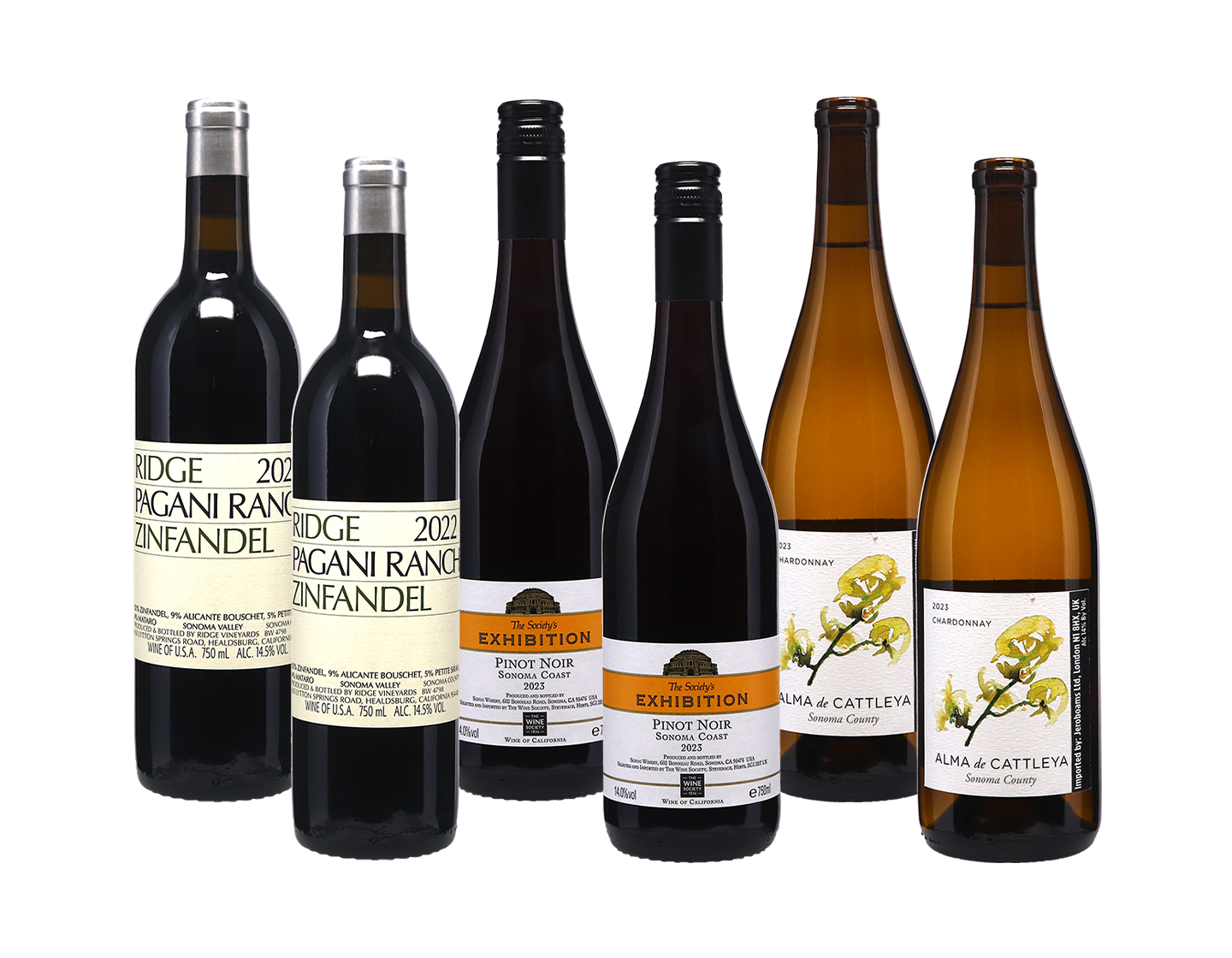 Sonoma Case