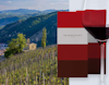 Stars of the Rhône view 1