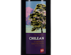 The Society's Chilean Cabernet Sauvignon Maipo 2019 view 2
