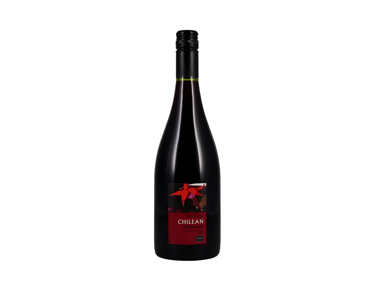 The Society's Chilean Pinot Noir, Leyda 2020