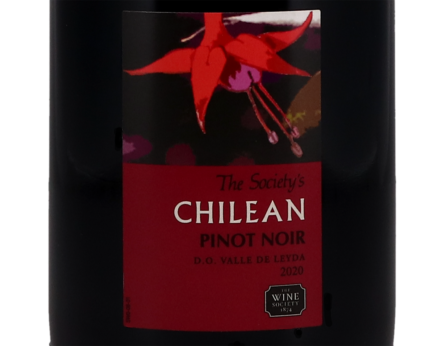 The Society's Chilean Pinot Noir, Leyda 2020