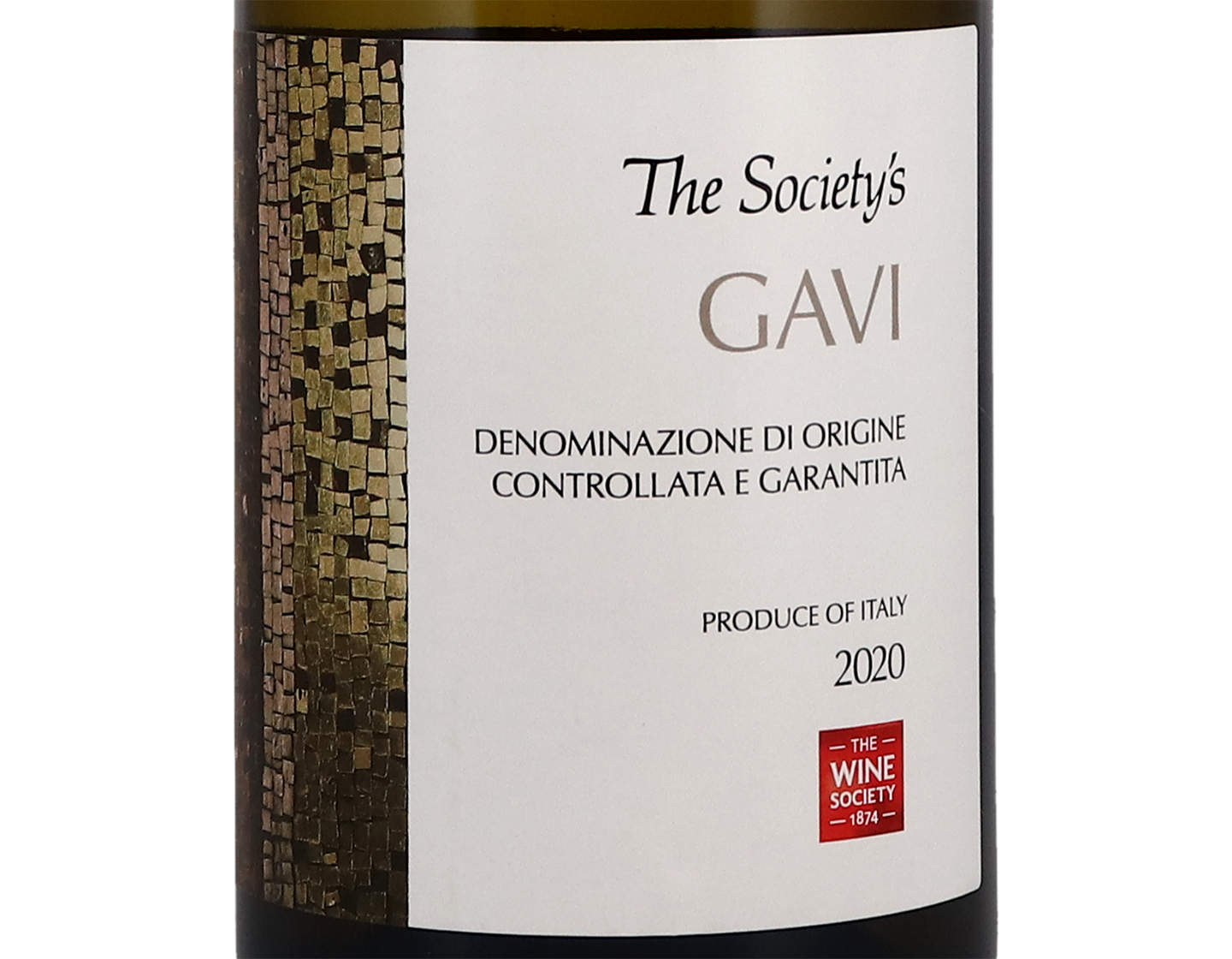The Society's Gavi 2020