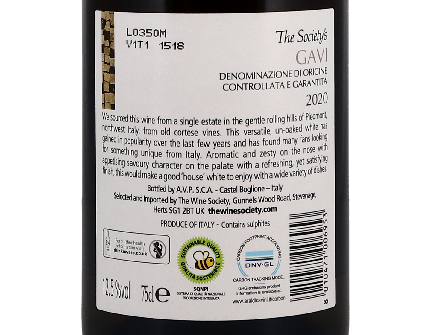 The Society's Gavi 2020