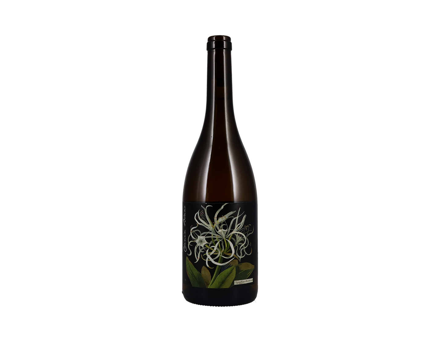 Botanica Mary Delany Chenin Blanc Citrusdal Mt 2018