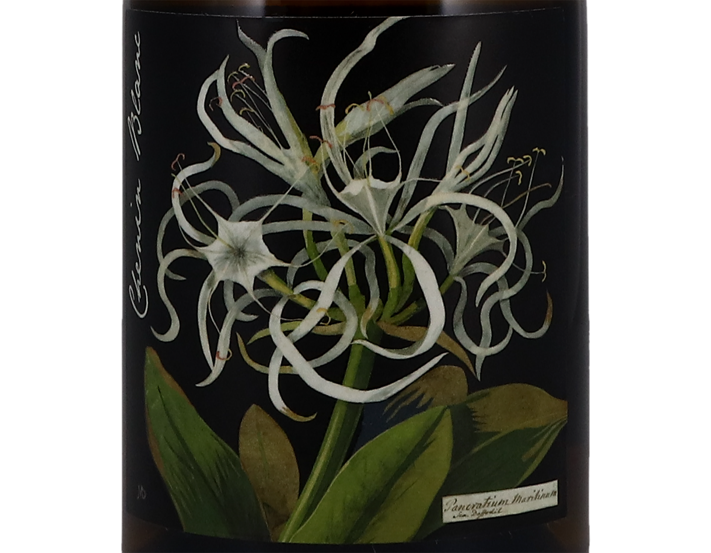 Botanica Mary Delany Chenin Blanc Citrusdal Mt 2018