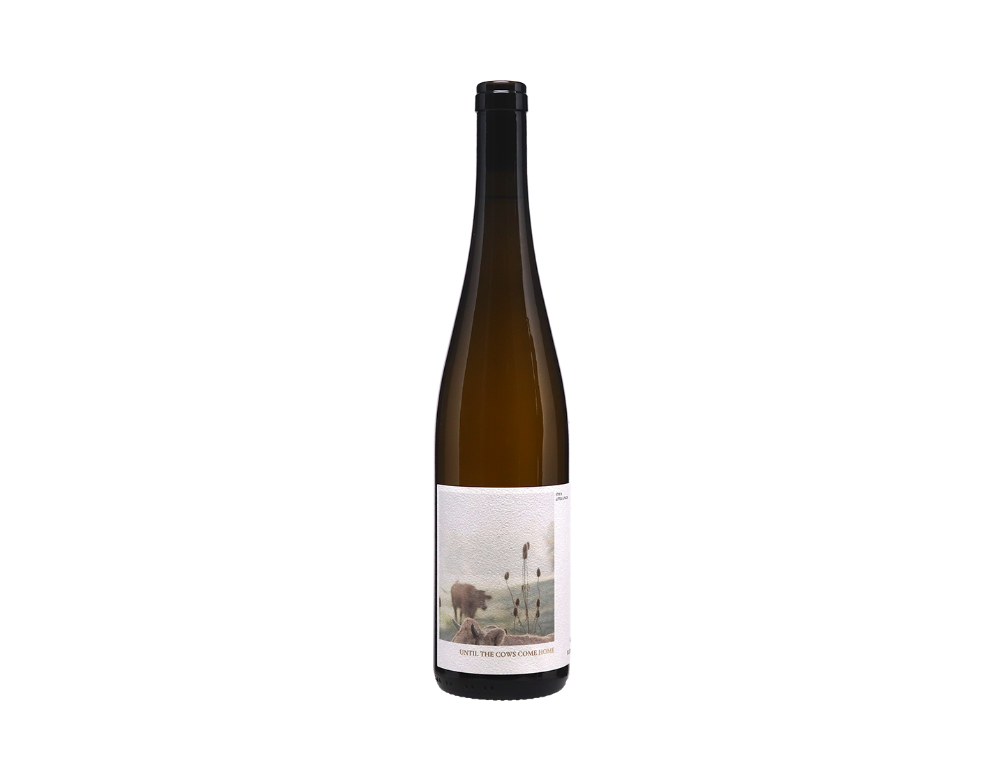 Geyerhof 'Until The Cows Come Home' Grüner Veltliner, Kremstal 2025
