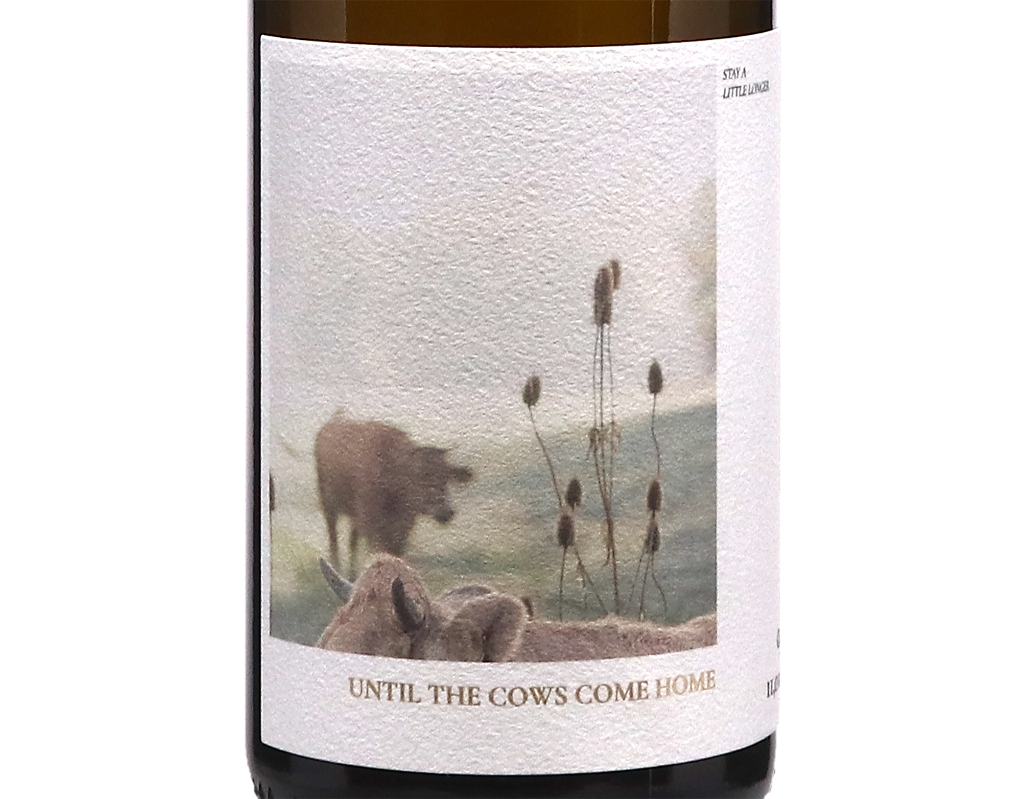 Geyerhof Until The Cows Come Home Gruner Veltliner 2025 Kremstal