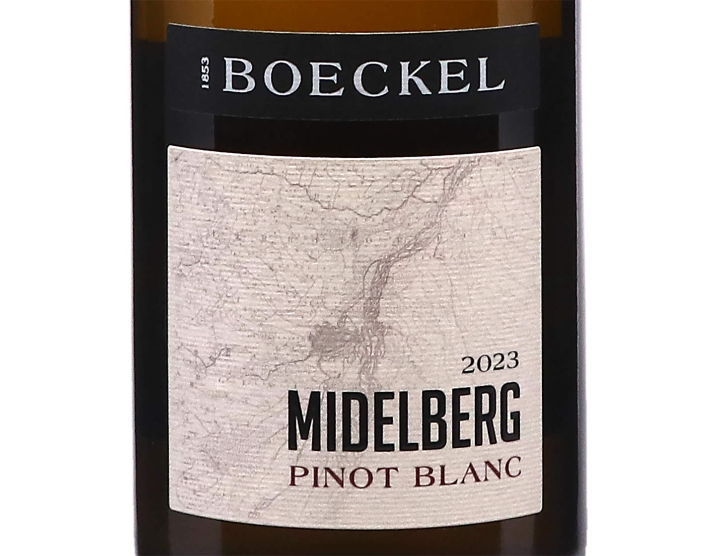Pinot Blanc Midelberg Boeckel 2023 ORGANIC L Riesling Mosel Dr Loosen 2024
